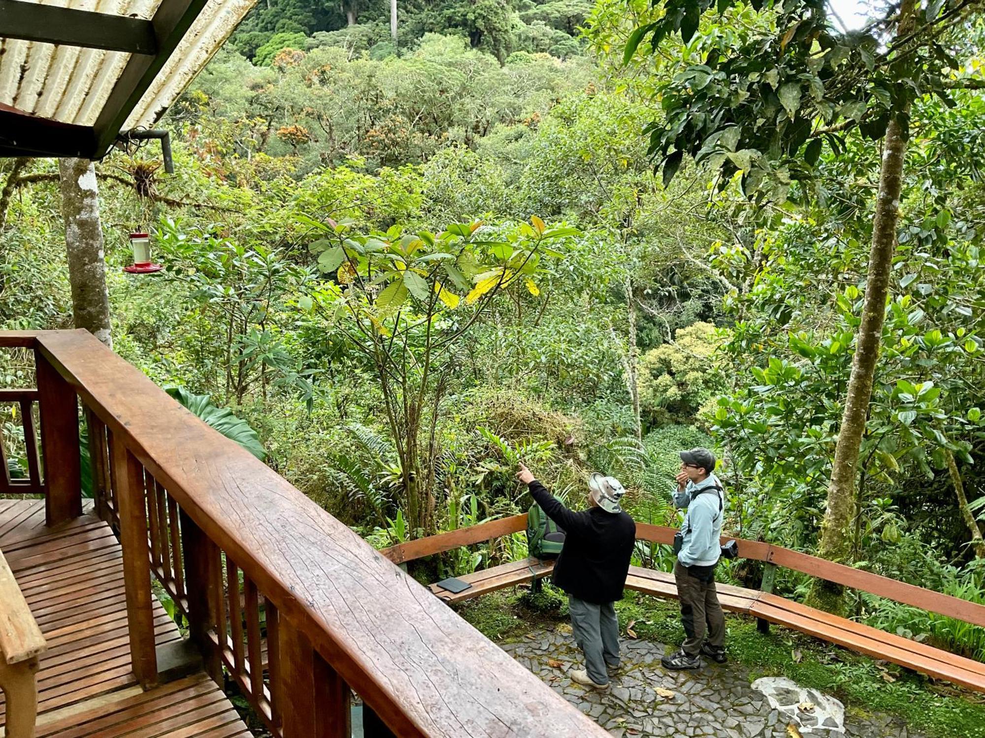 Los Quetzales Ecolodge & Spa Cerro Punta Exterior foto