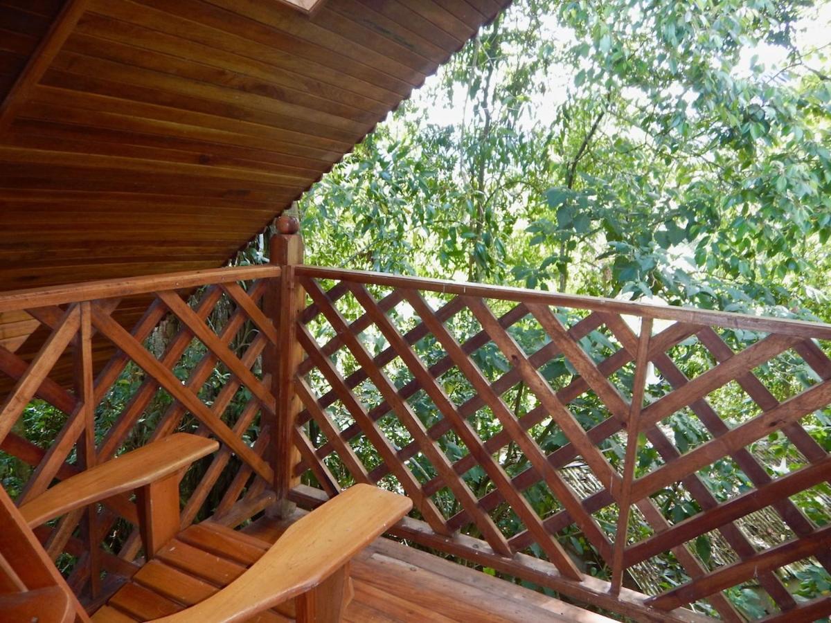 Los Quetzales Ecolodge & Spa Cerro Punta Exterior foto